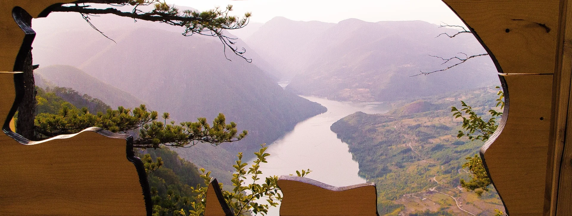 Delight in a bear-shaped photo at Tara mountain in Banjska stena