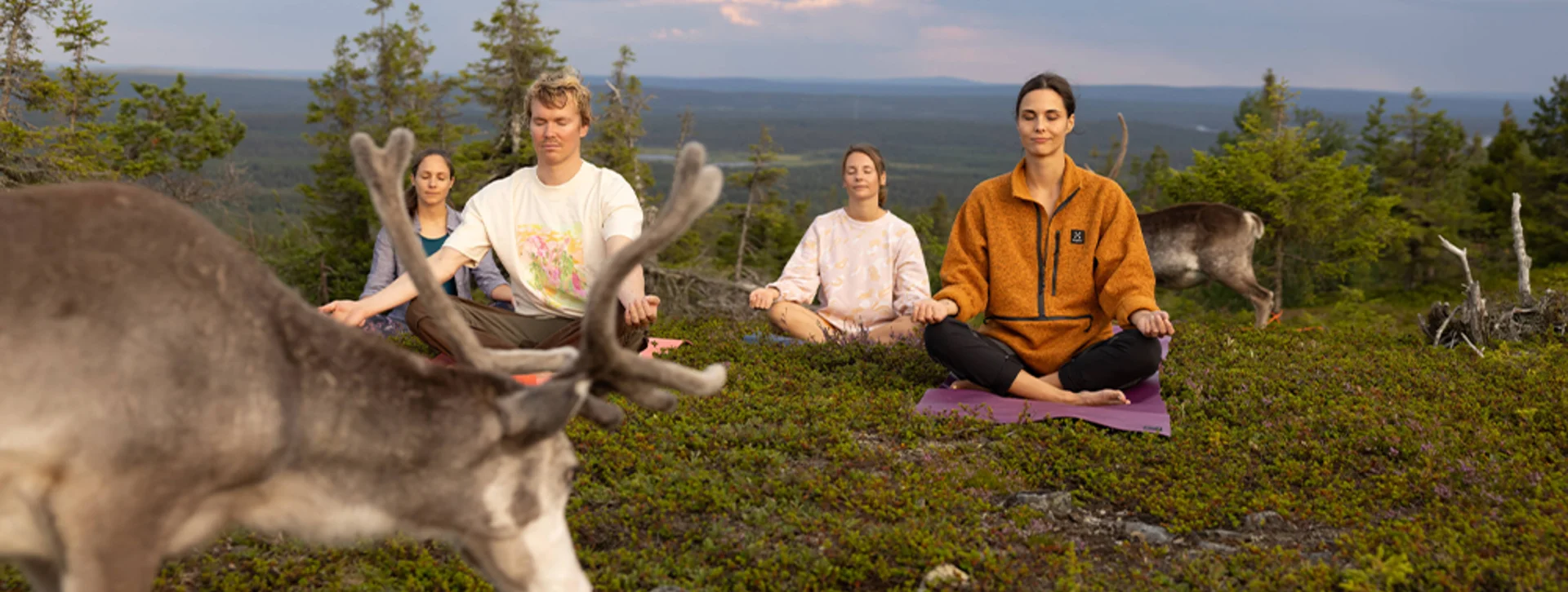 Experience the magic of the Arctic with its breathtaking nature scenery up close in Lapland – for example, by joining a session of quirky reindeer yoga.