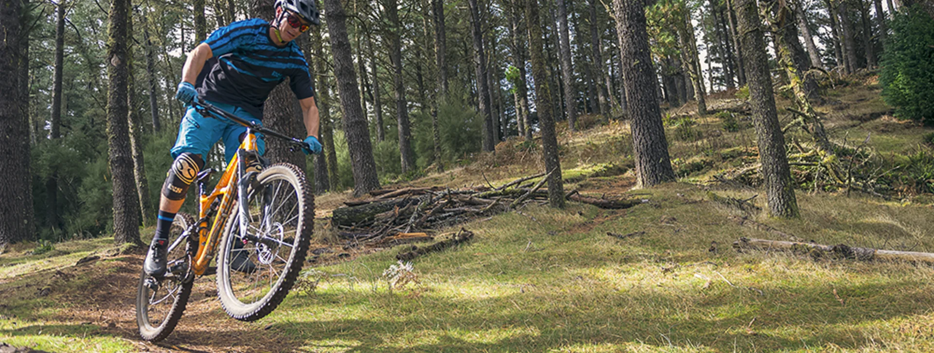 biking in Madeira forest!