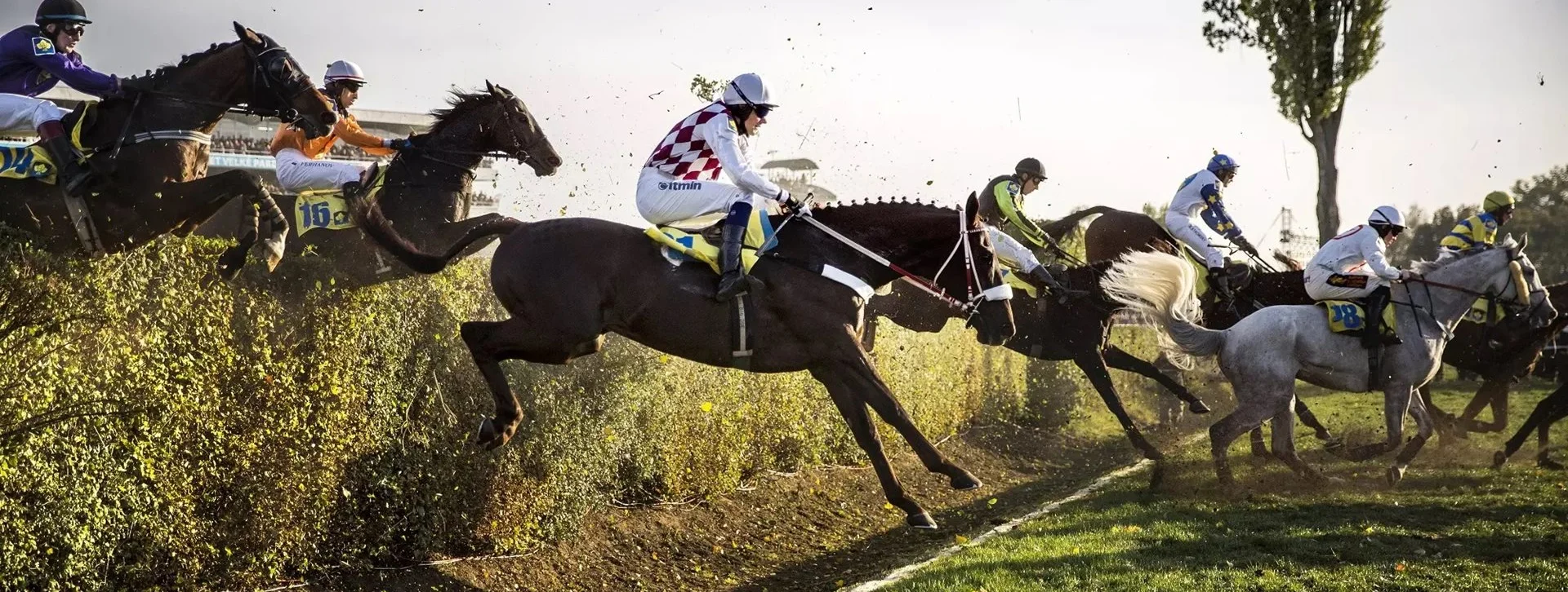 Horses almost fly during Veka Pardubicka, the Great Pardubice Steeplechase in Pardubice, one of Europe's oldest equine events.