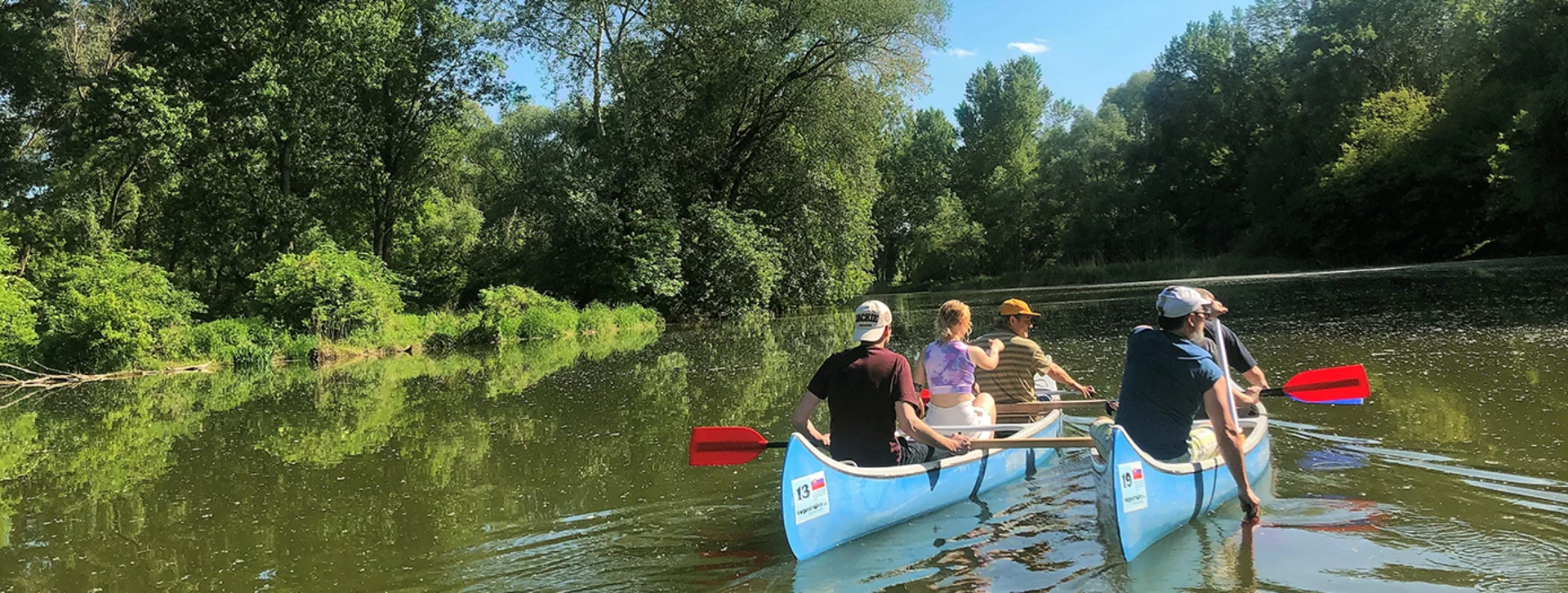 Experience the Little Danube’s wonderful nature directly from the water’s surface.