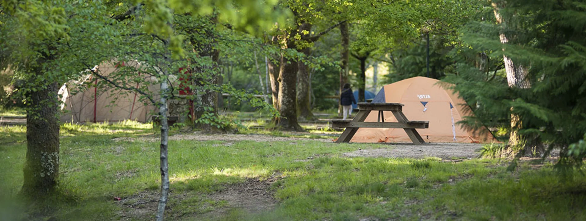 See vibrant green and enjoy one of many picnics on your visit to Peneda-Gerês National Park!