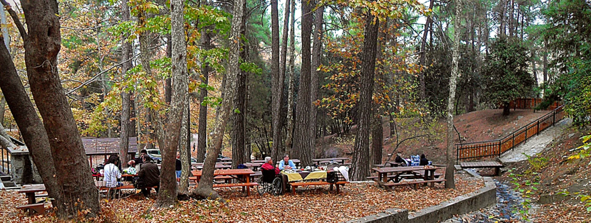 Eating under the trees at the Platania Picnic Site makes your food taste even better!