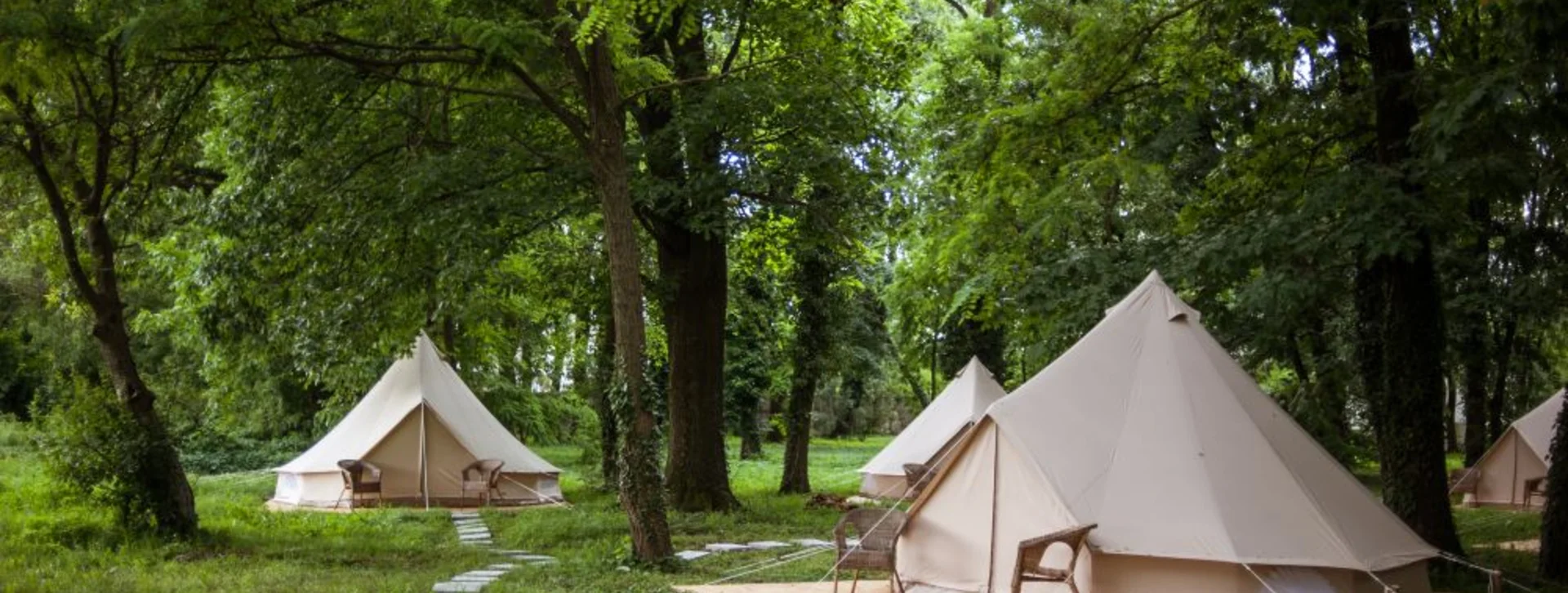 Rest up in a well-equipped tent under lush foliage.