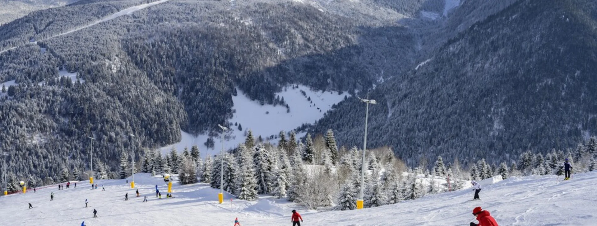 Skiers on a snowy mountain slope with pine forests and clear skies.