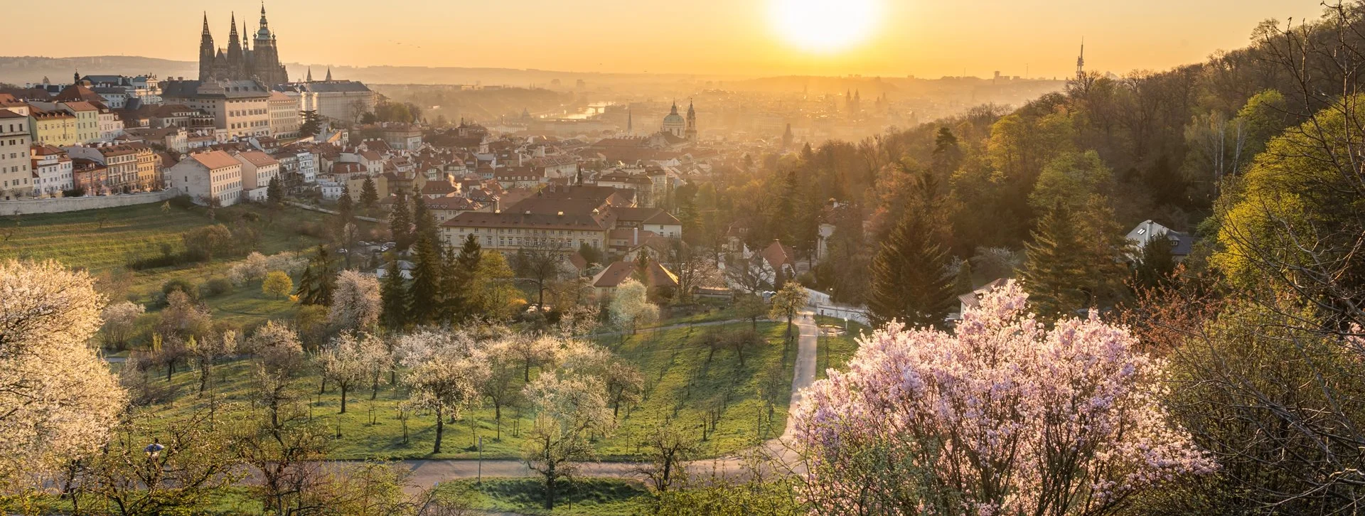 Sunset over Prague, a view with a castle, blooming trees, and a river in the distance.