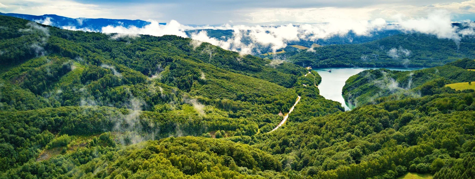 Aerial view of lush green landscapes intersected by winding rivers, showcasing rich vegetation and serene waterways under soft lighting.