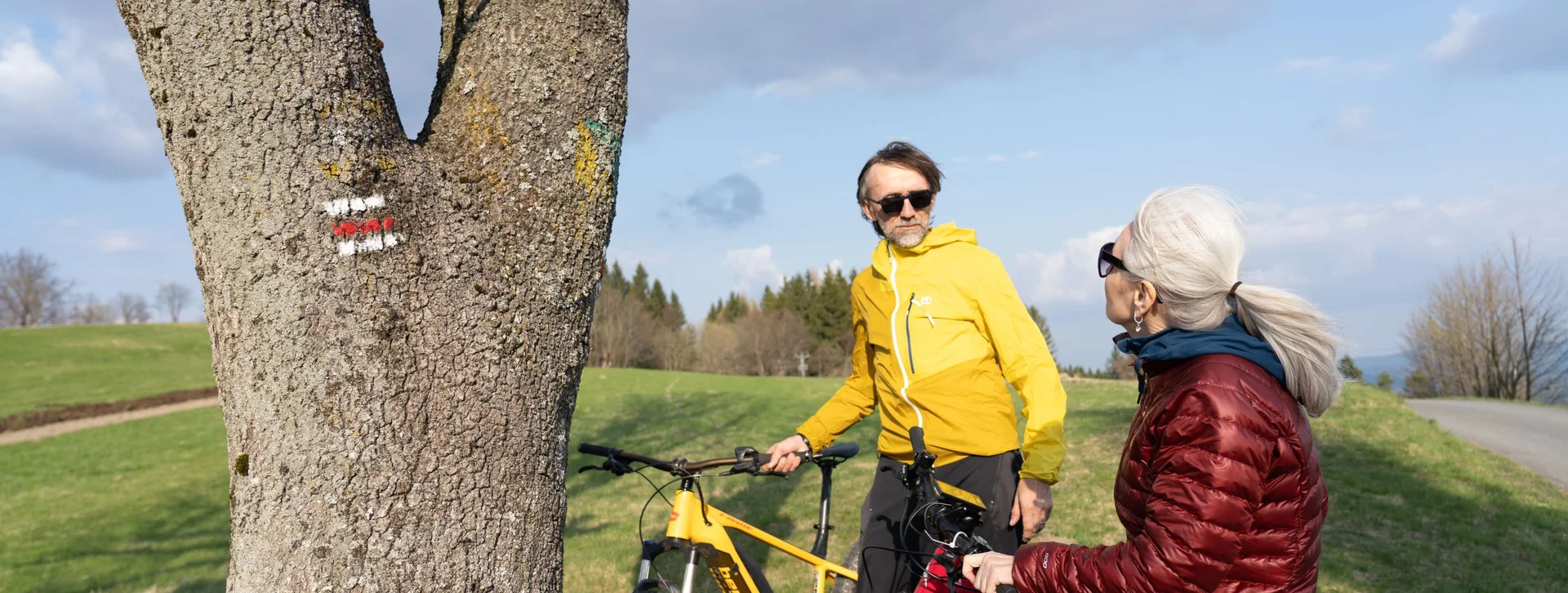 Two cyclists pause next to a tree with a directional sign, enjoying a scenic outdoor view on a sunny day.