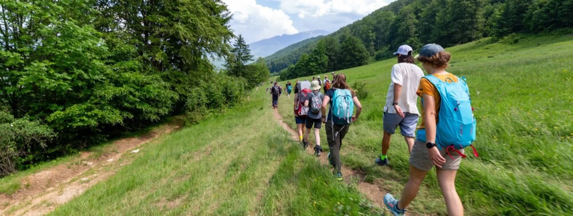 A group of hikers walking along a grassy trail, surrounded by lush trees and mountains under a blue sky with fluffy clouds.