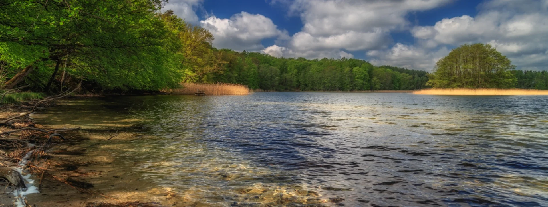 A serene lake surrounded by lush green trees under a partly cloudy sky, with clear water revealing a sandy shoreline.