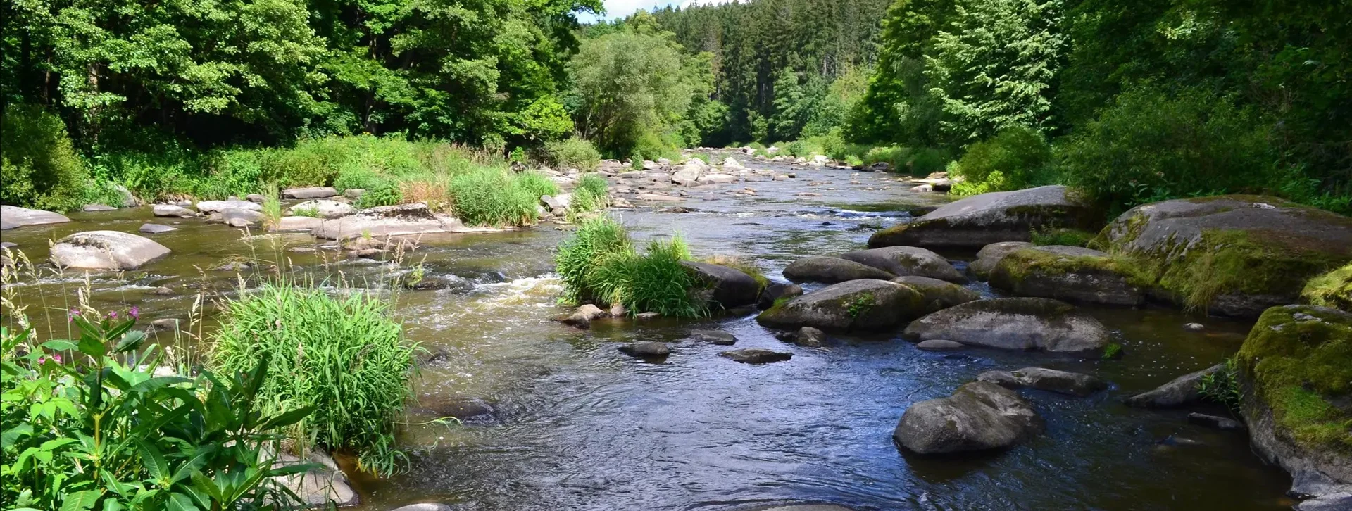 Rocky river flowing through a lush green forest in Vysočina.