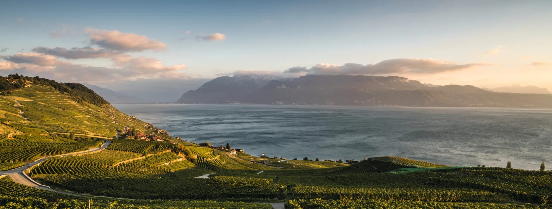 Lavaux UNESCO vineyards on the slopes above Lake Geneva, Switzerland, at sunset.