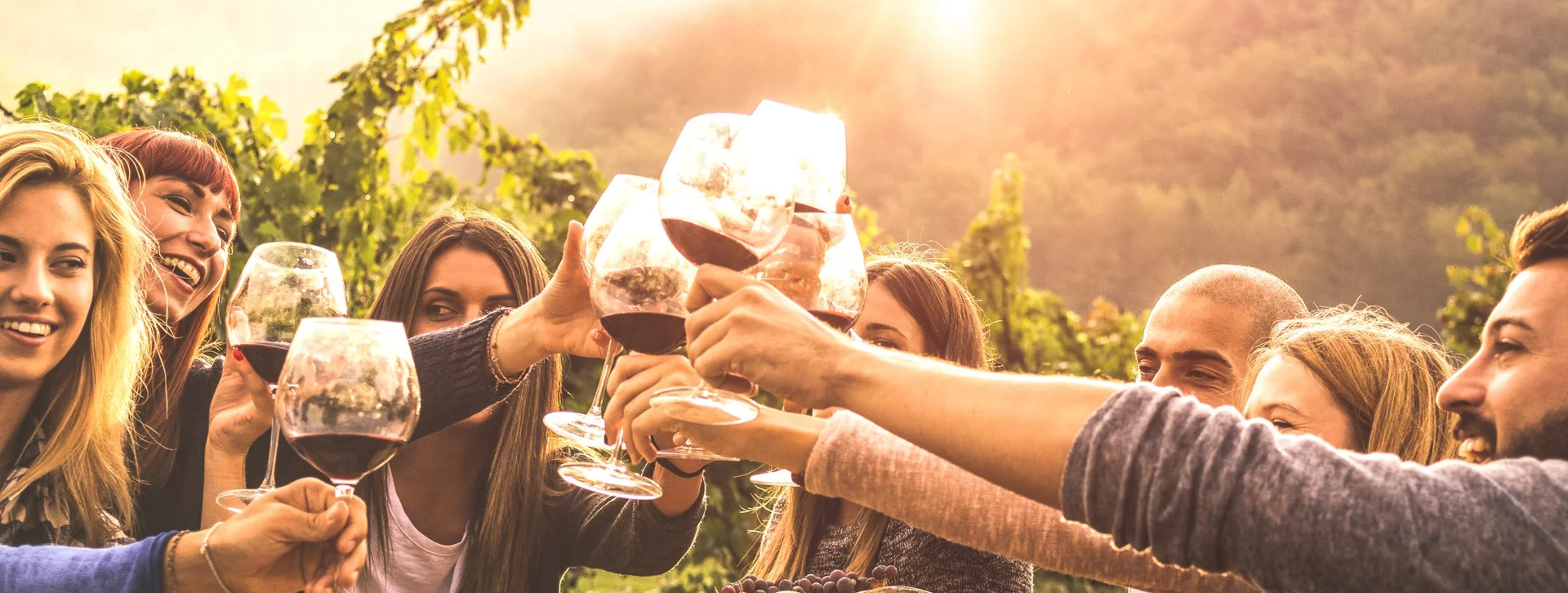 Group of friends toasting with red wine glasses in a vineyard at sunset, celebrating wine tasting in Bulgaria.