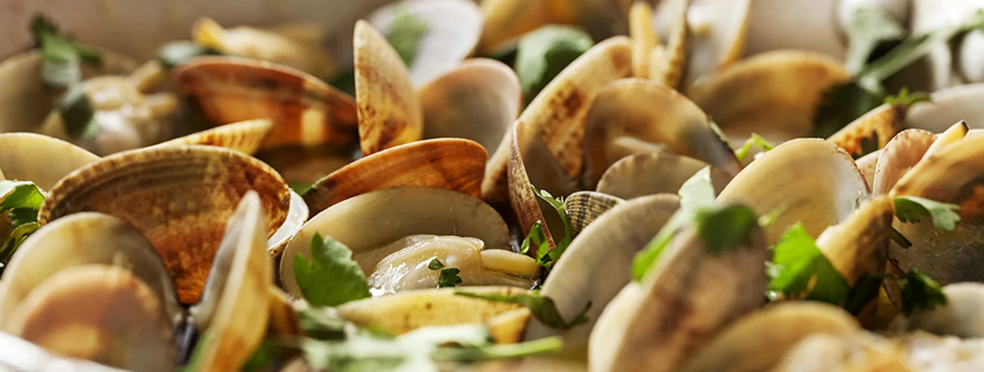 Ameijoas à Bulhão Pato, Portuguese clams cooked with garlic, olive oil and coriander.