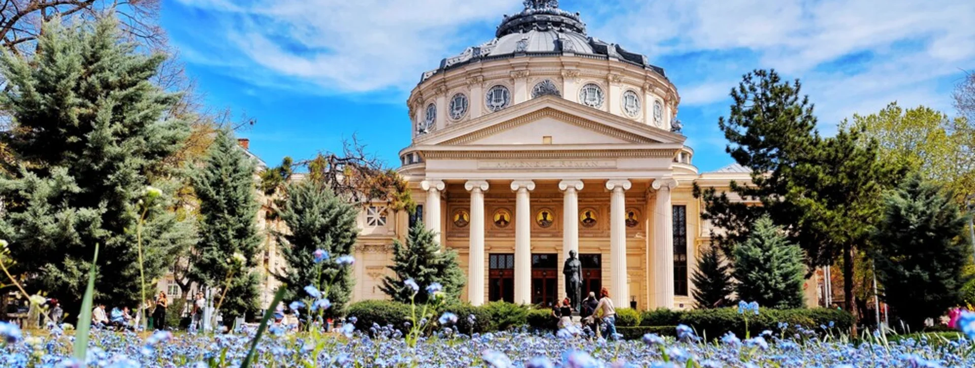 The Romanian Athenaeum in Bucharest viewed from a garden filled with blue spring flowers.