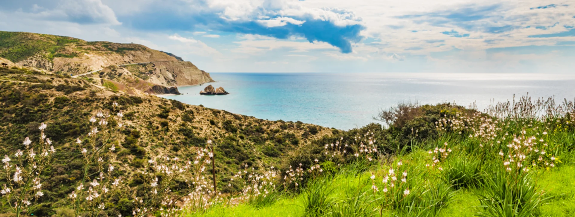 Green hillside with wildflowers overlooking the sea and rocky coastline under a blue sky.