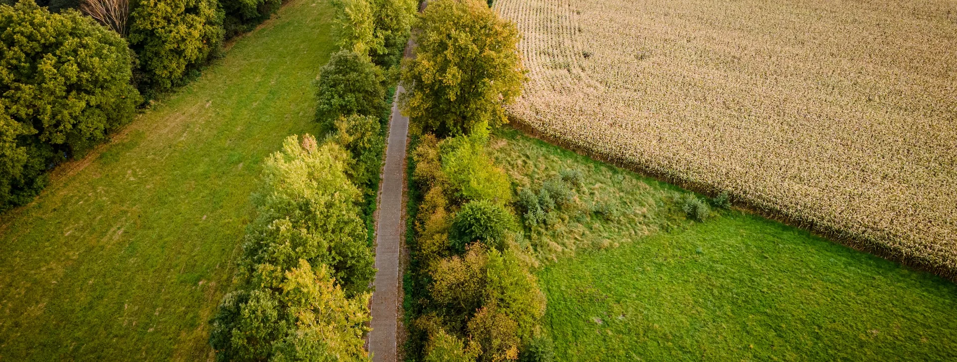 Tree-lined path between grassy field and plowed farmland, viewed from above.