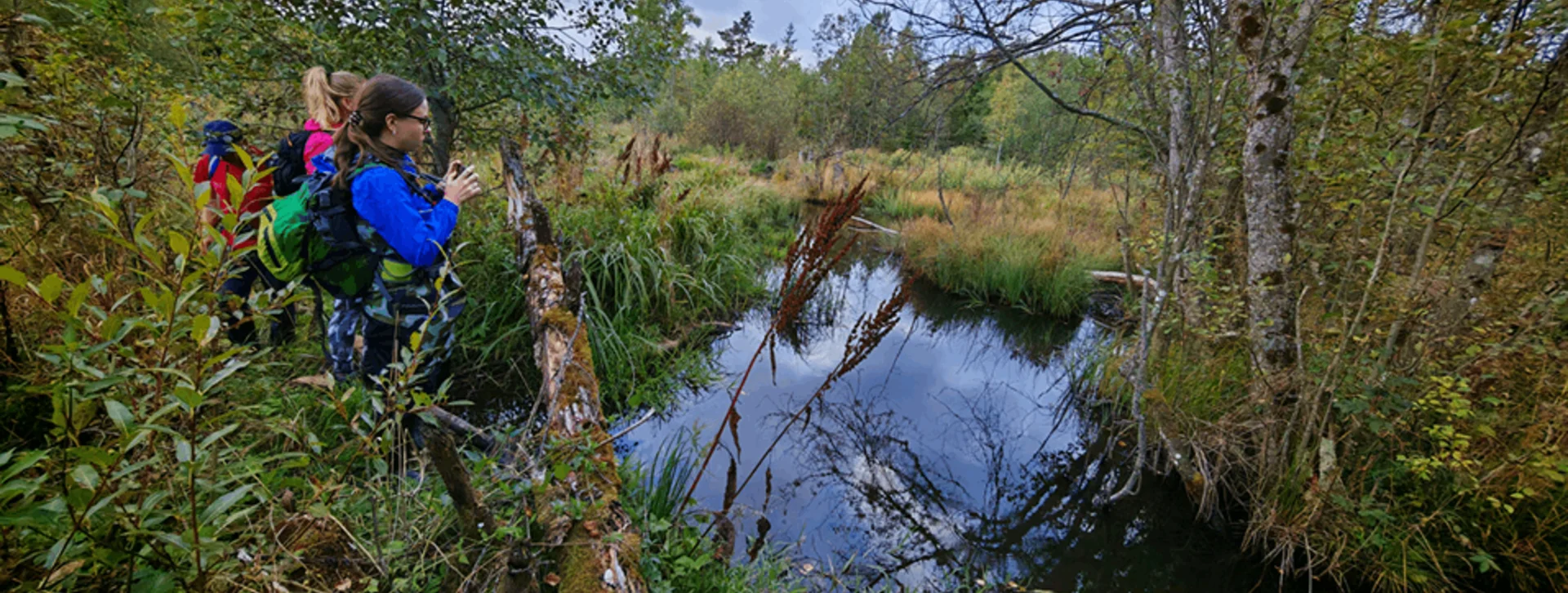 People with backpacks observing a pond in a lush, green forest.