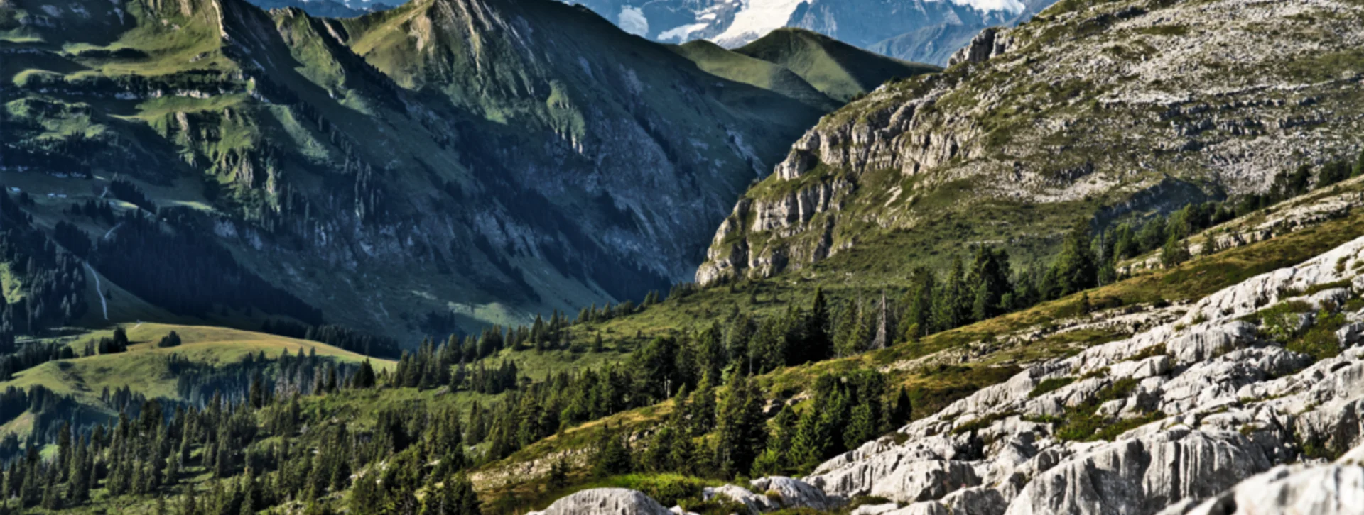 Snow-capped mountains with green valleys and rocky foreground under a blue sky.