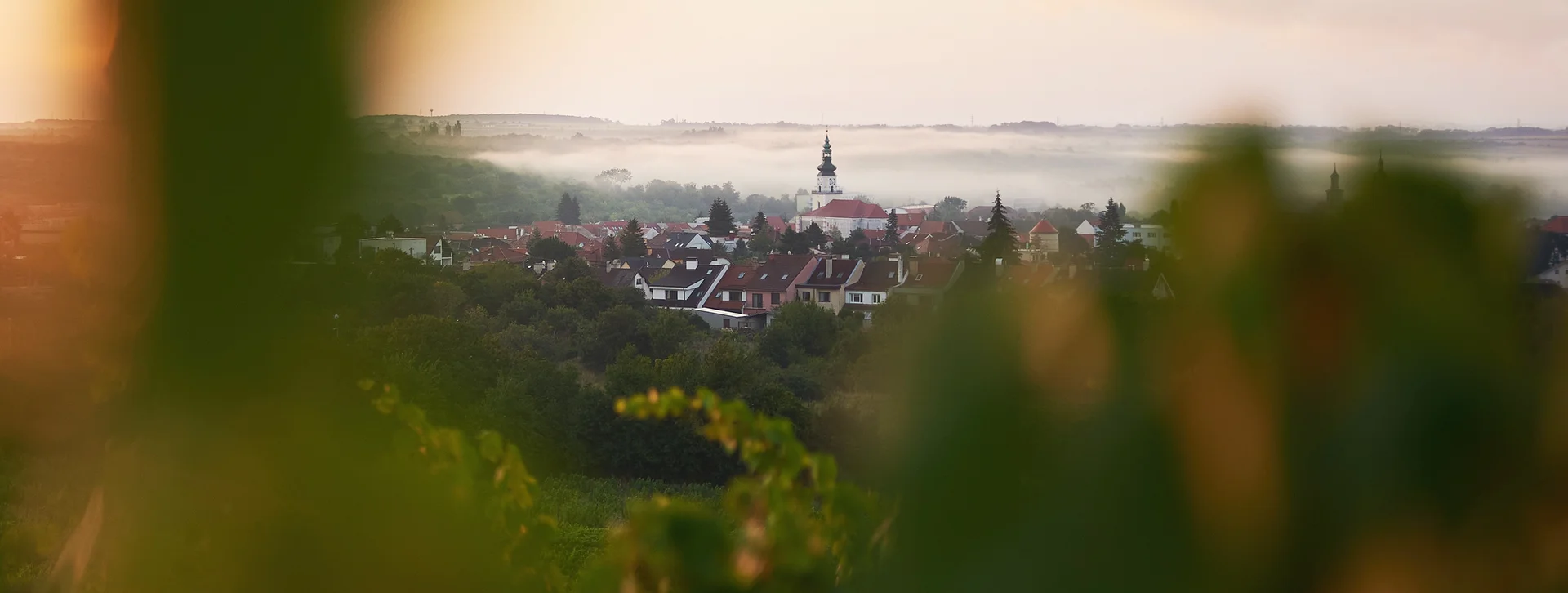 Distant village with red rooftops and a church spire, surrounded by greenery at sunset.