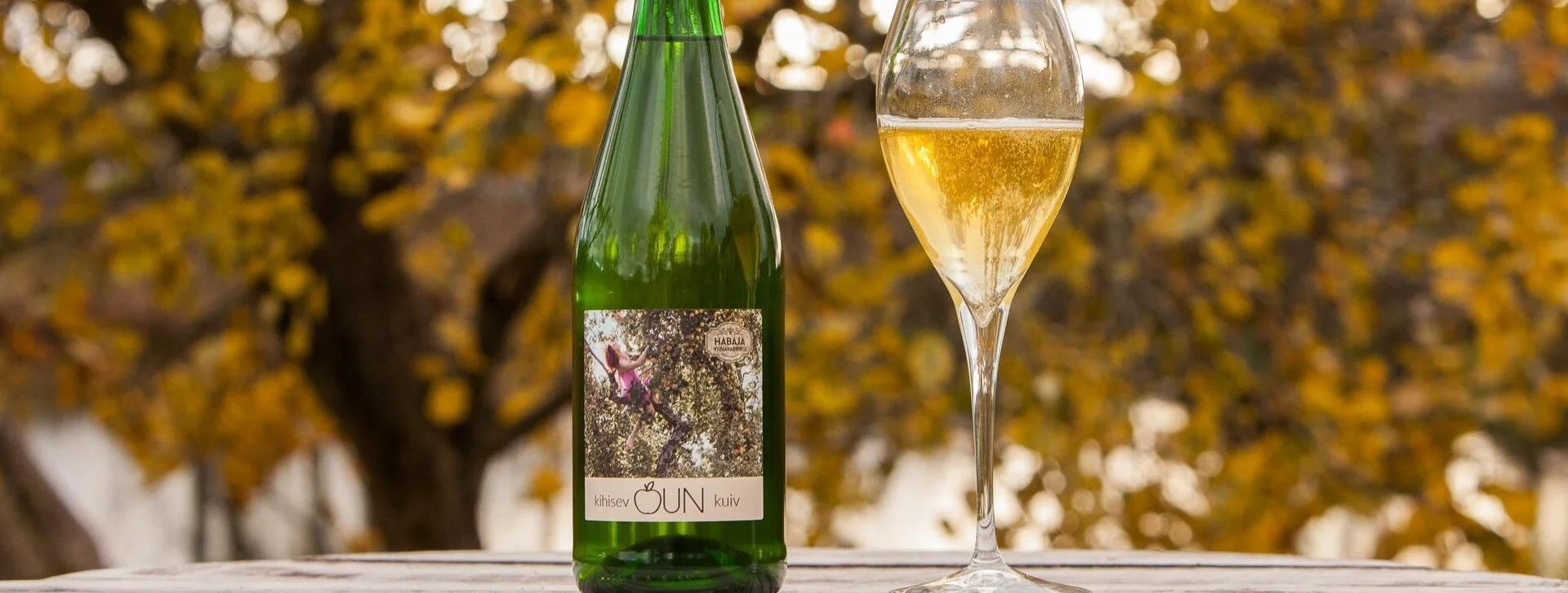 Green wine bottle and filled wine glass on wooden table with autumn leaves in the background.