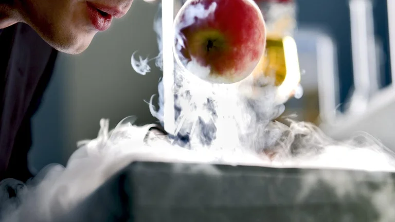 Where mathematics meets gastronomy, Belgium