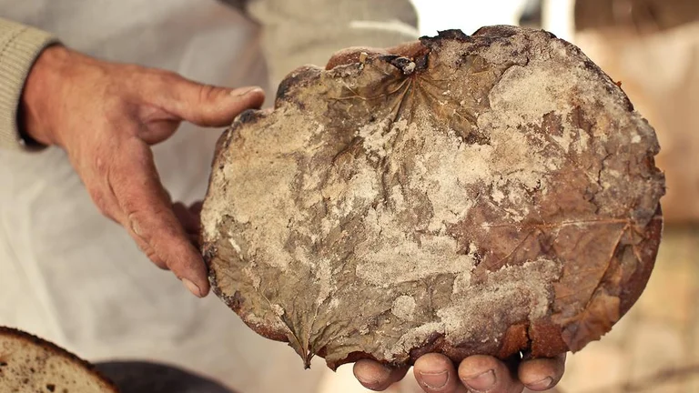 Best enjoyed slowly , Latvia