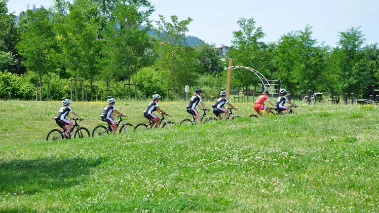 A crowd of bikers biking along the path situated in the meadow.