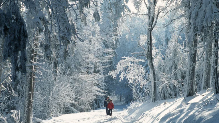 Rhine Taunus Nature Park, Germany