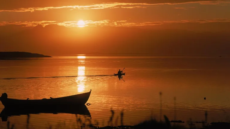 Kayak Hornarfjordur, East Iceland