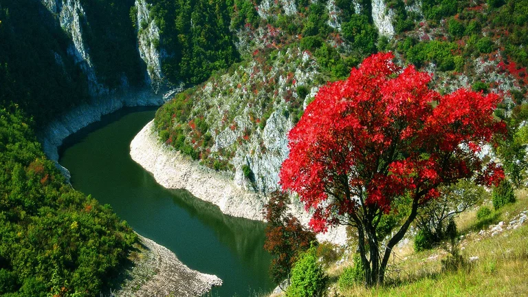 Rača River, Serbia