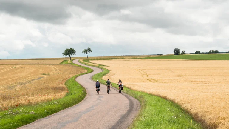 02 - France - Grand Est 110721-3