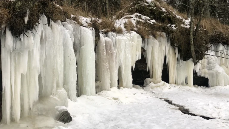 ETC_WebsiteContent_InfluencerExperience_Estonia