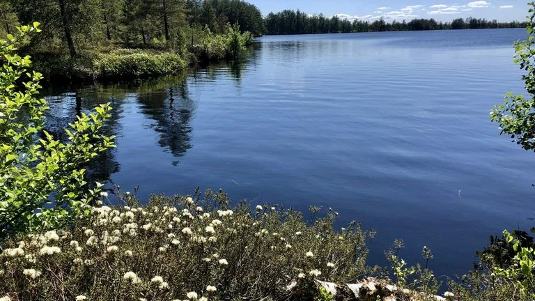 ETC_WebsiteContent_InfluencerExperience_Estonia