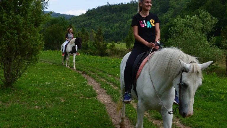 Horseback riding
