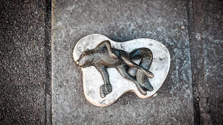 Watch where you step — you may see great urban art in Budapest!