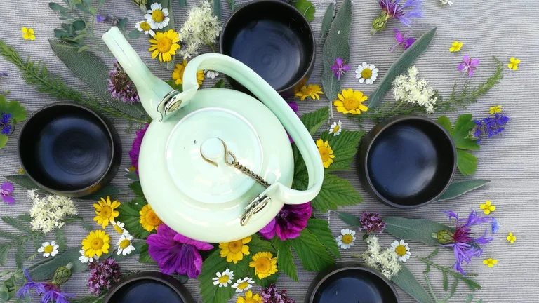 Engage all your senses during the Herbal Experience