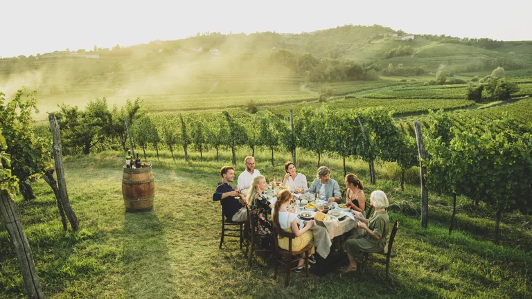 Friends having lunch in the Slovenian Vineyards.