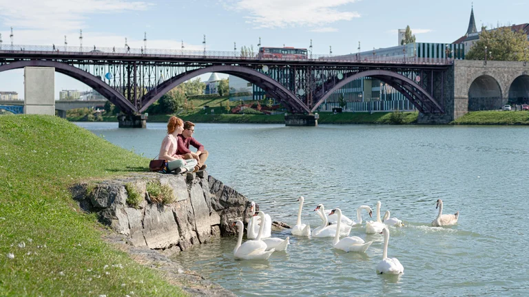 F014213-2019_sto_slovenija_dodatek_5-photo-l-min