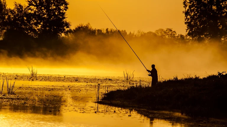 How many of 248 species of birds will you spot at Ujście Warty National Park?