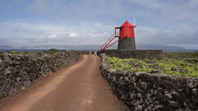 Find a typical red-domed windmill at Criação Velha