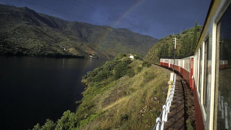 Take in the gorgous Douro valley by train