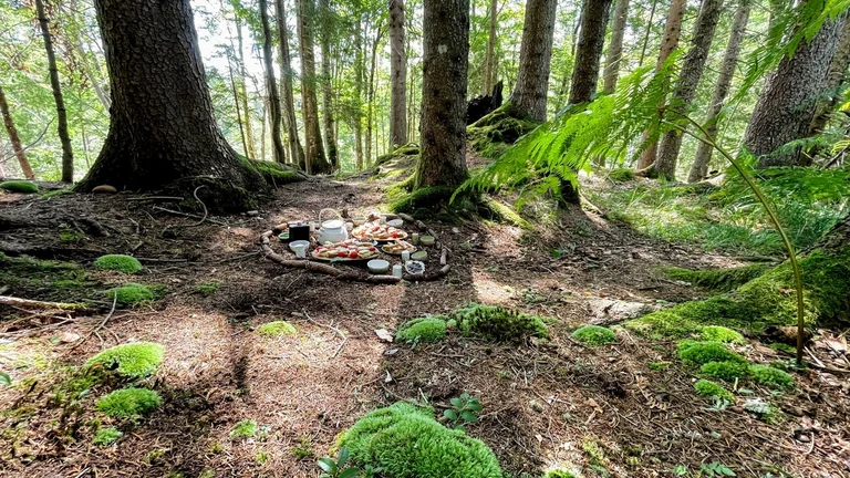 Hear the music of the trees during the Forest Melody activity
