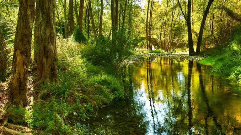 Be enchanted by the Tzelefos Bridge scenery in the Troodos Mountain Region