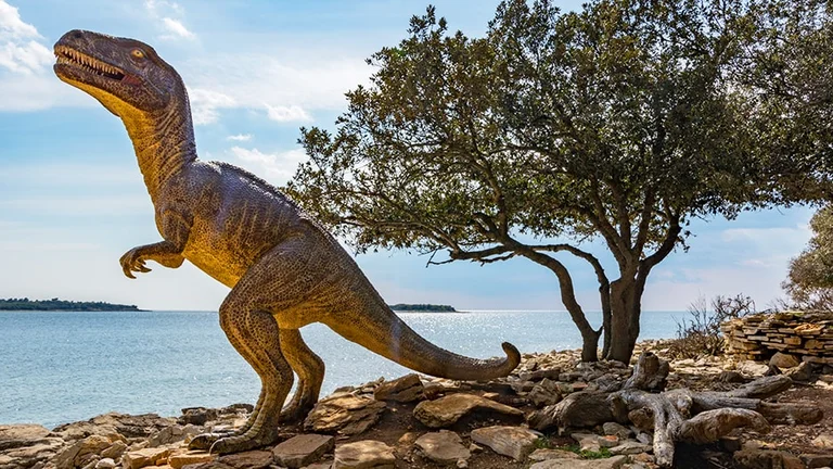 Walk where this creature once did and see its footprints at Brijuni National Park