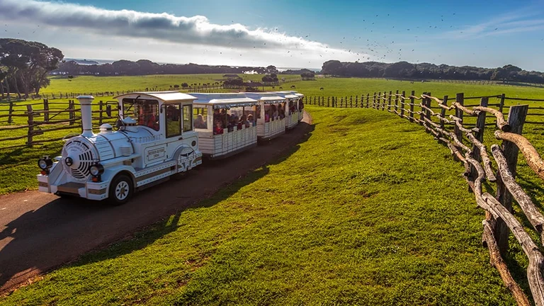 You'll find the right tour for every age and interest at Brijuni National Park