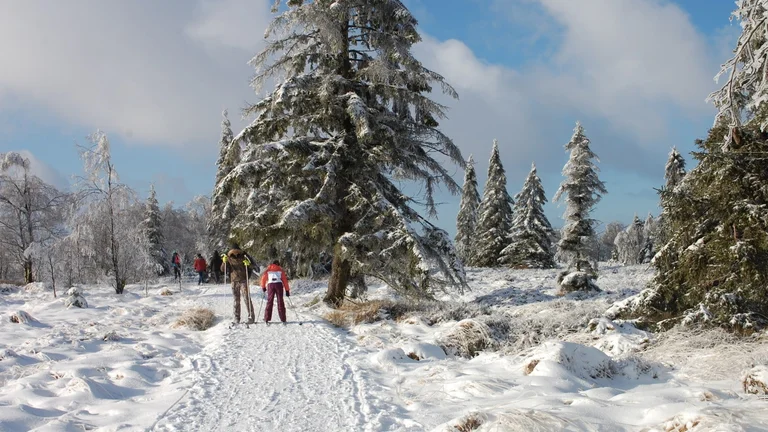 Refresh yourself with a hike at Les Hautes Fagnes in wintertime.