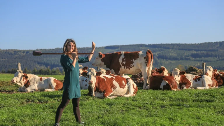 How can you resist Farm Golf in Wallonia?