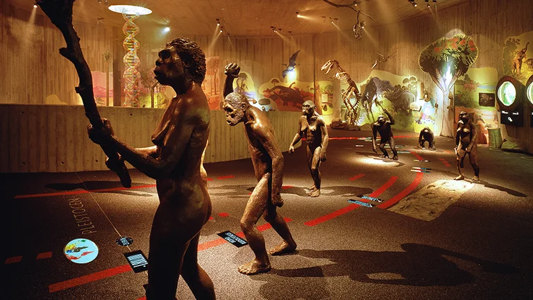 Learn about our ancient ancestors at the Krapina Neanderthal Museum.