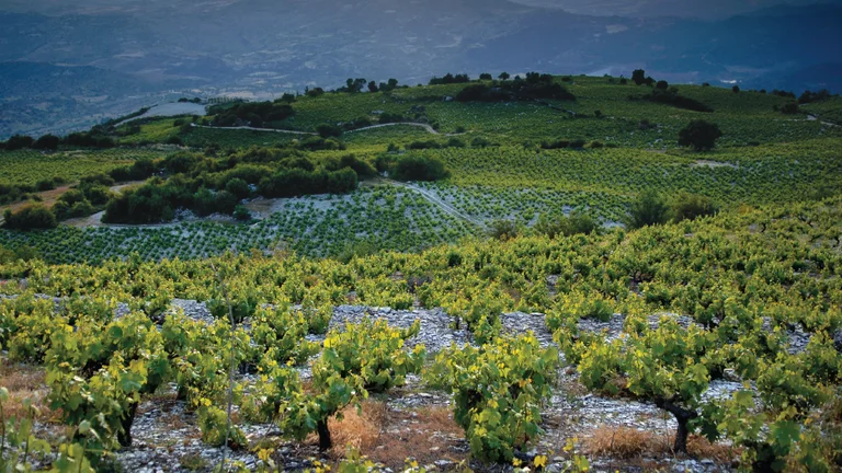 Commandaria Wine Route: Take a trip back in time and discover the secrets of the island’s most ancient and famous wine – the sweet dessert wine of Commandaria – praised and world-renowned for centuries.
